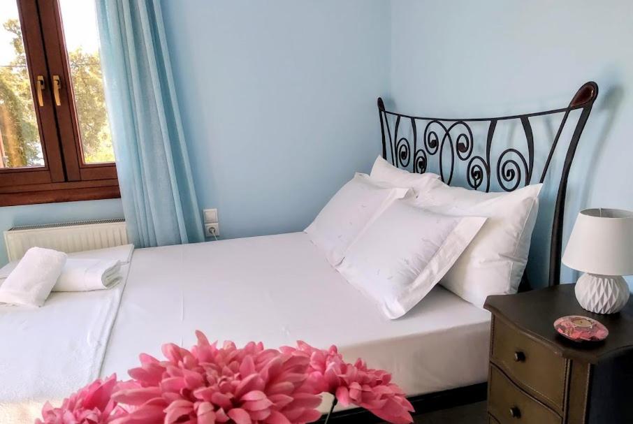 Pelion Seaside Luxury House Apartment Afissos Exterior foto