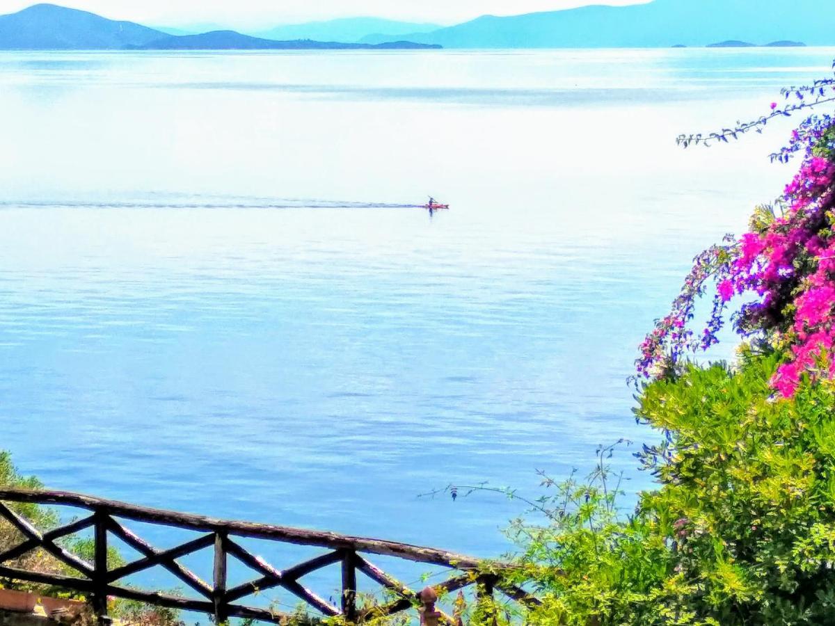Pelion Seaside Luxury House Apartment Afissos Exterior foto