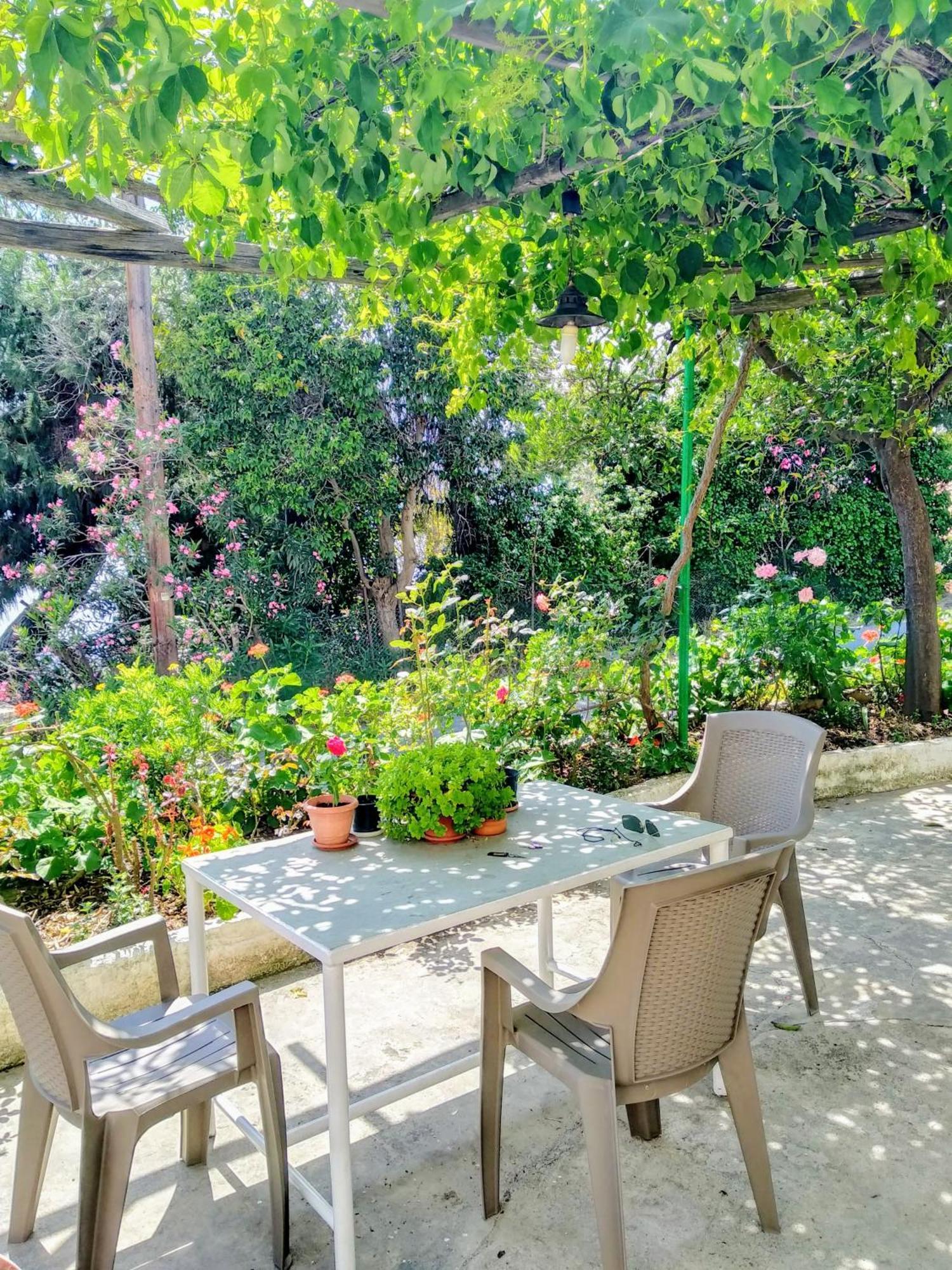 Pelion Seaside Luxury House Apartment Afissos Exterior foto